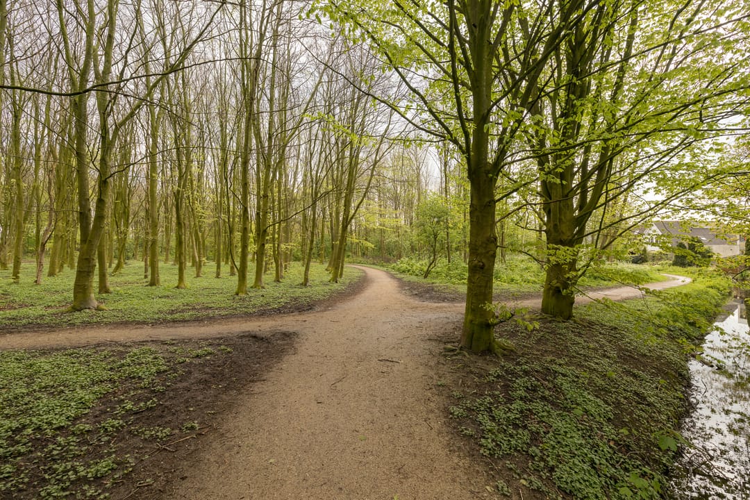 Foto 43 van Glenn Millerhof 33