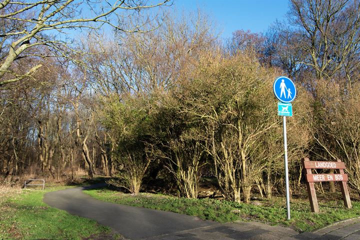 Bekijk foto 41 van Balsemienlaan 190