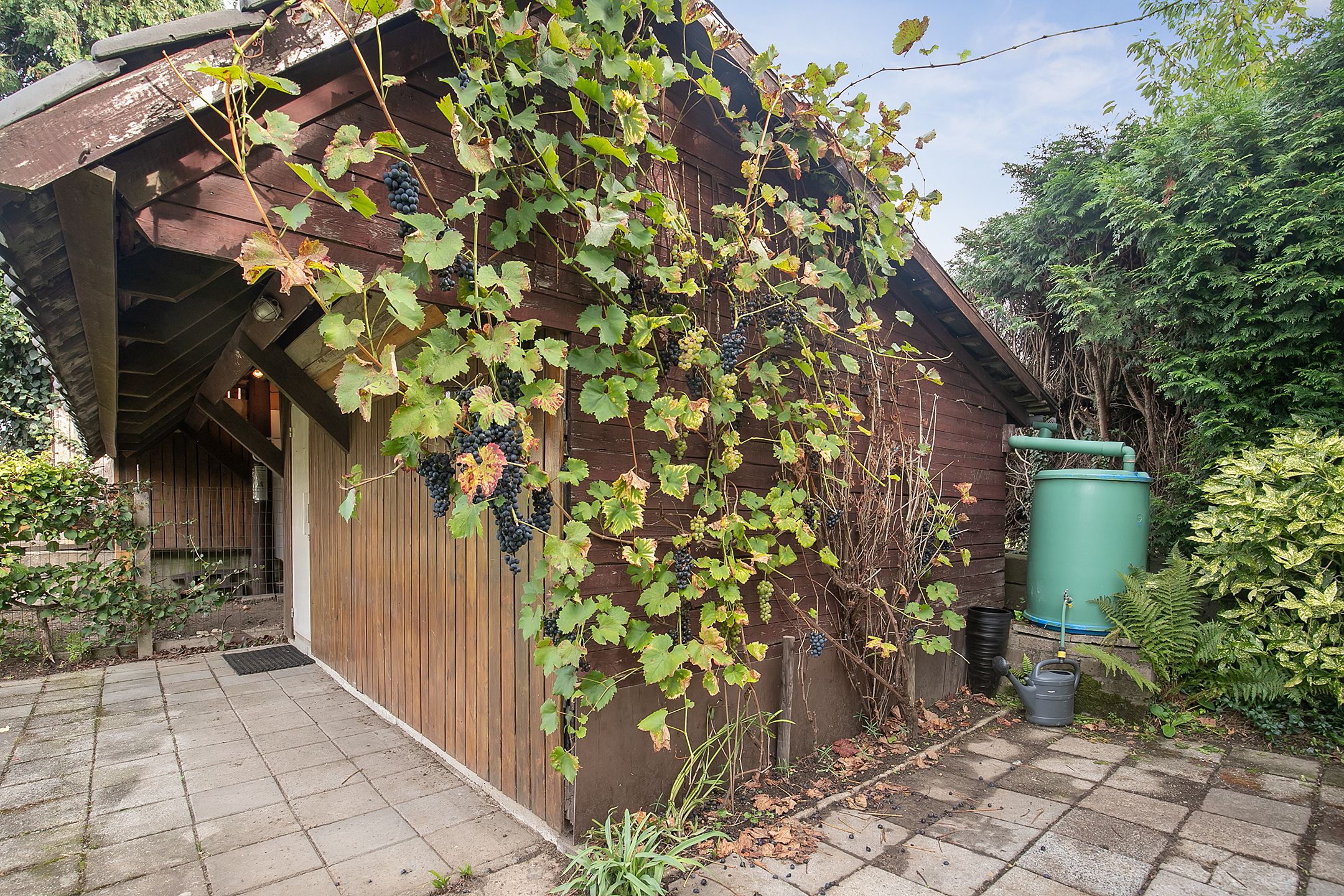 Photo 51 of Kloosterberg 1