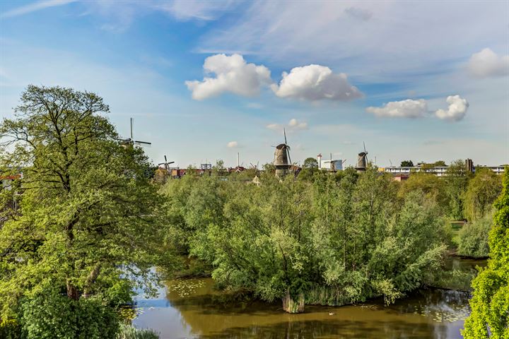 Bekijk foto 30 van Ko Suurhofflaan 50