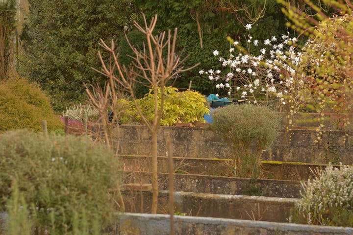 Foto 20 van Lichtenbergstraat 10