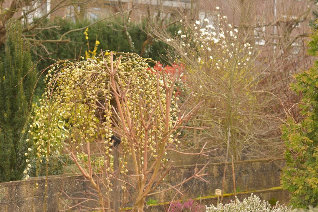 Foto 23 van Lichtenbergstraat 10