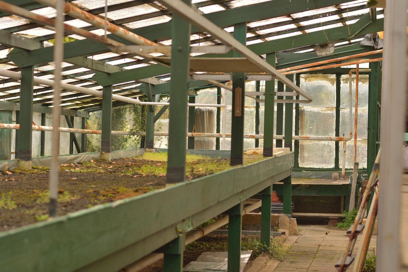 Foto 27 van Lichtenbergstraat 10