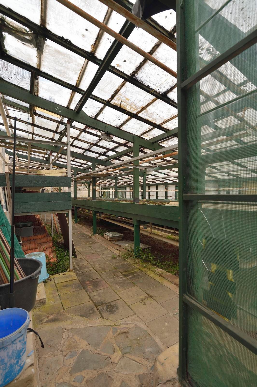 Foto 38 van Lichtenbergstraat 10