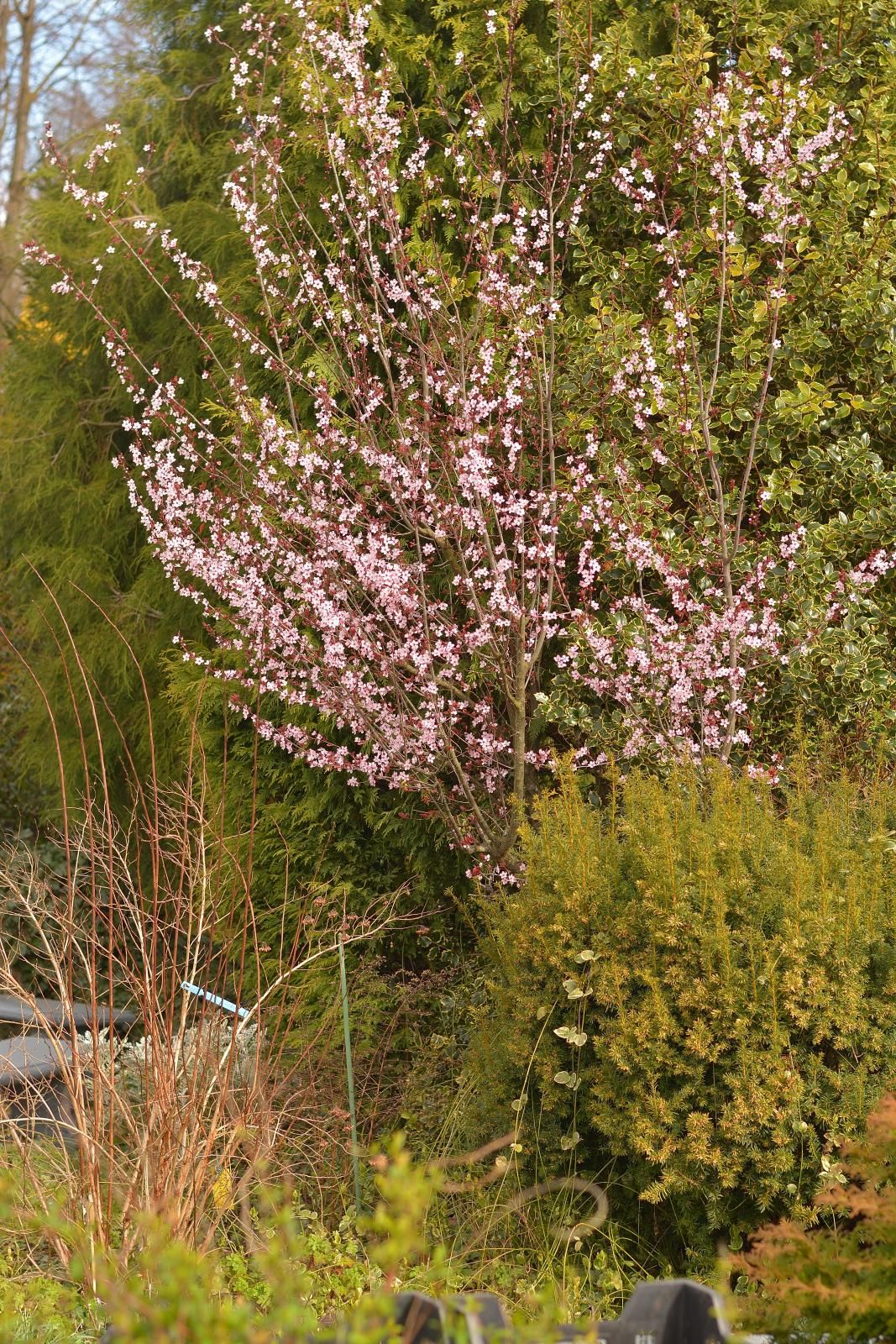 Foto 16 van Lichtenbergstraat 10