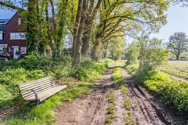 Bekijk foto 39 van Paardenwei 21