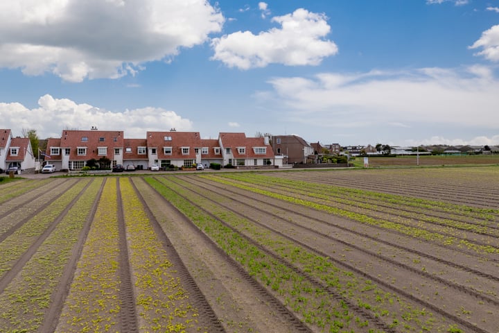 Bekijk foto 45 van Het Laantje 29