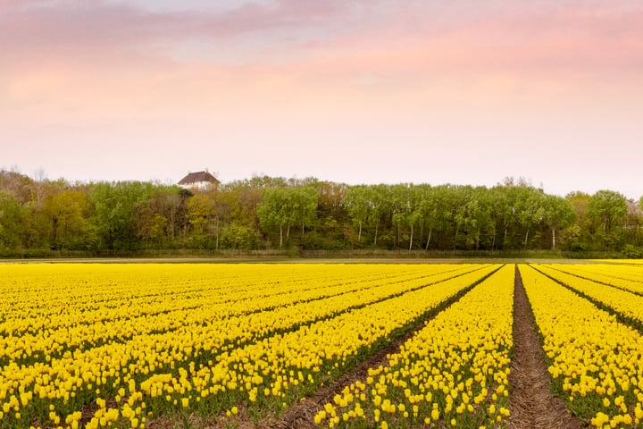 Bekijk foto 47 van Het Laantje 29