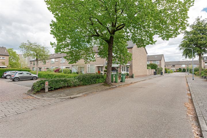 Bekijk foto 36 van Lutherhof 64