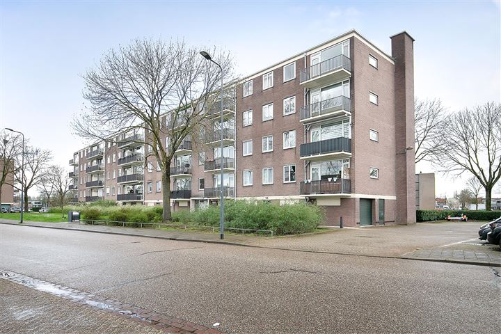 Bekijk foto 1 van Maassingel 322