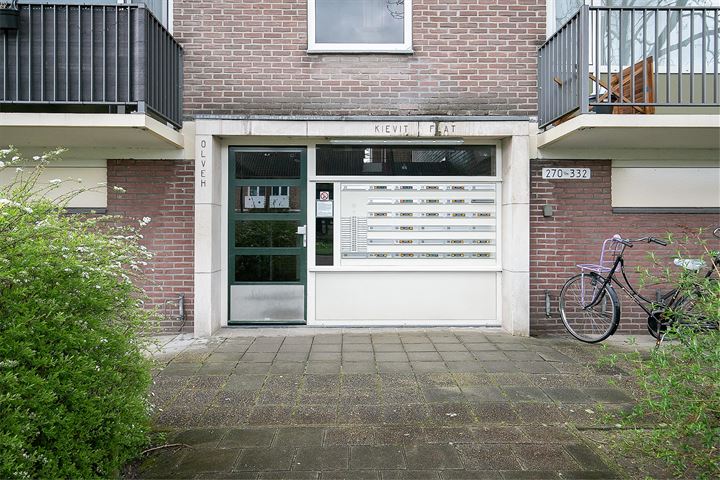 Bekijk foto 31 van Maassingel 322