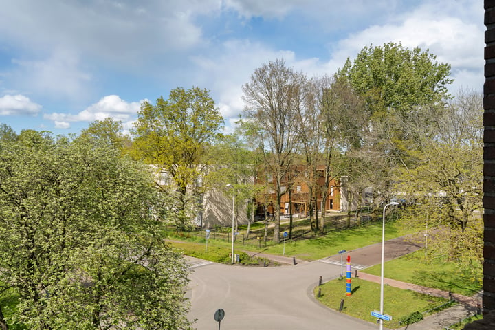 Bekijk foto 19 van Johannes Vermeerstraat 103