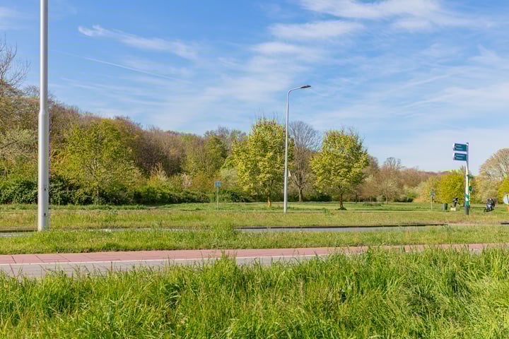 Bekijk foto 3 van Zeeweg 311