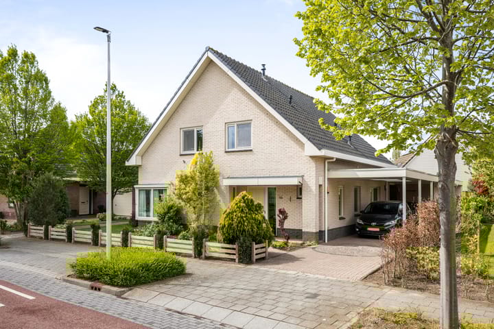 undefined main image