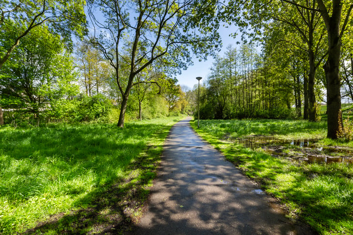 Bekijk foto 35 van Elsgeestpolderpad 11