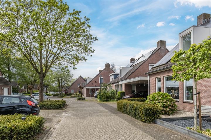 Bekijk foto 30 van Dokter Duchateaustraat 41