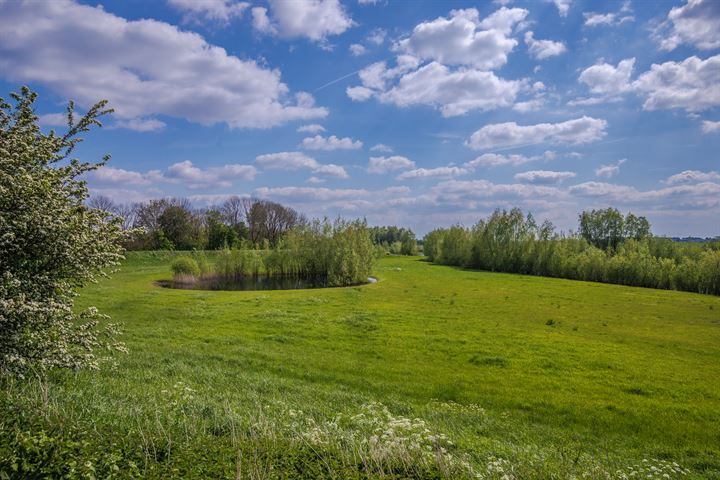 Bekijk foto 60 van Rijndijk 29