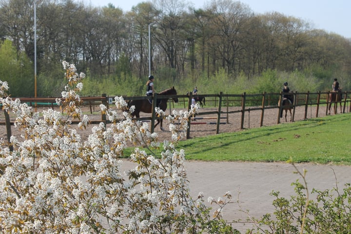 Bekijk foto 34 van Ommerweg 11