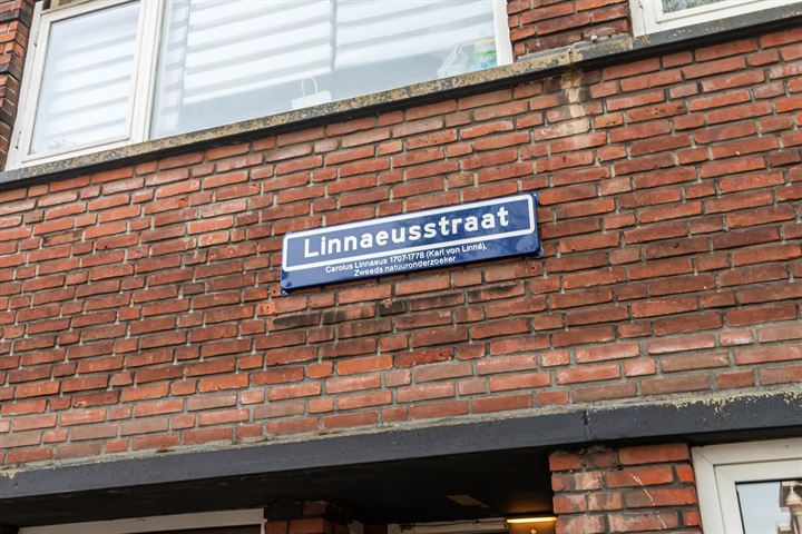 Bekijk foto 15 van Linnaeusstraat 113