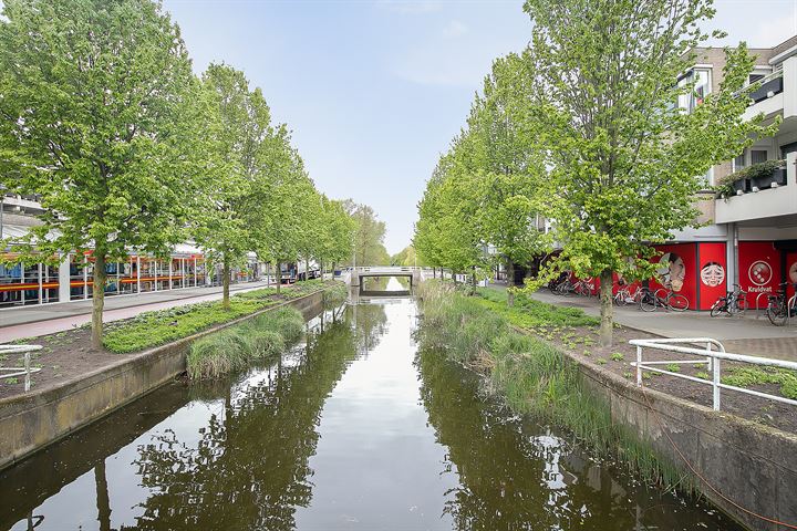 Bekijk foto 36 van Ambachtsplein 53