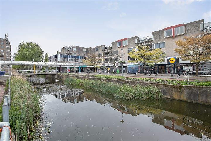 Bekijk foto 35 van Ambachtsplein 53