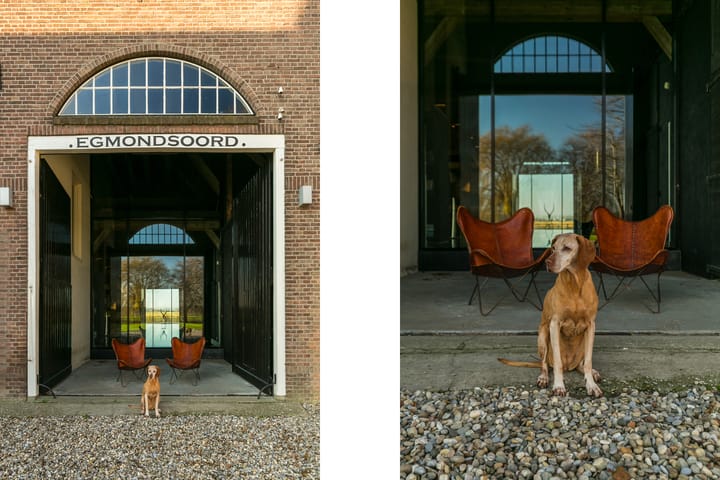 Foto 10 van Kraagweg 7