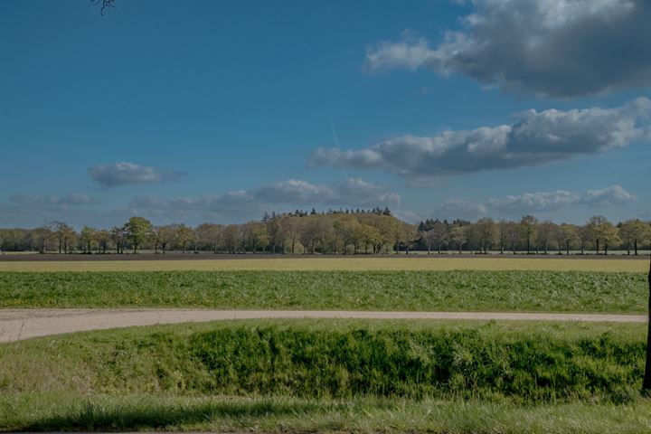 Bekijk foto 7 van Koningin Wilhelminalaan 6