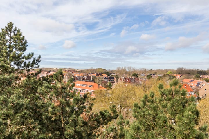 Foto 5 van Ranonkelstraat 391