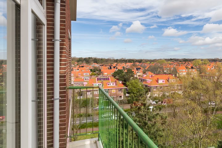 Foto 20 van Ranonkelstraat 391