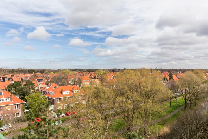 Foto 21 van Ranonkelstraat 391