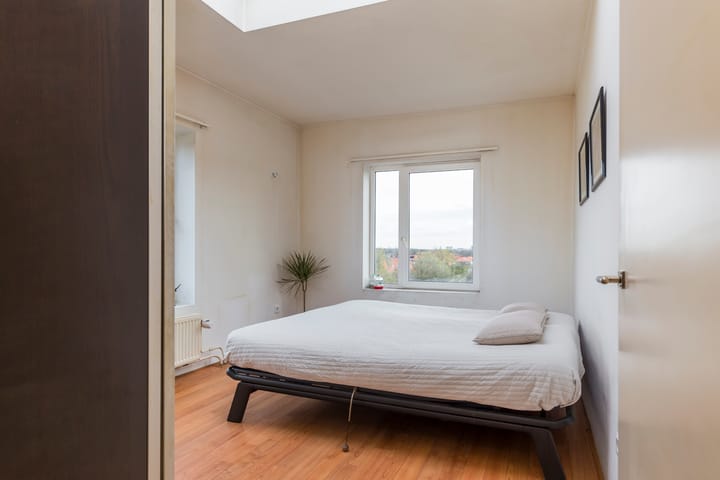 Foto 23 van Ranonkelstraat 391