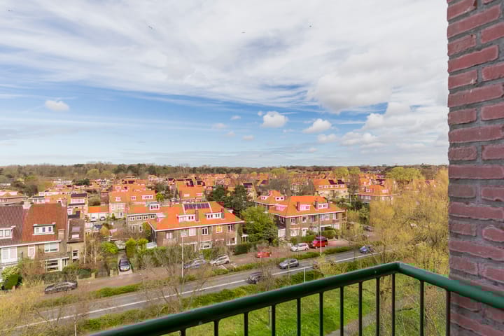 Foto 27 van Ranonkelstraat 391