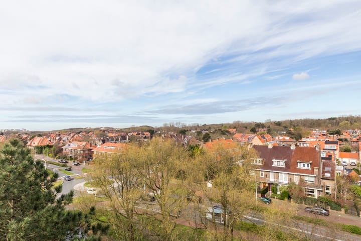 Foto 28 van Ranonkelstraat 391