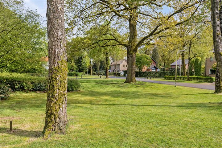 Bekijk foto 37 van Pelzerpark 3