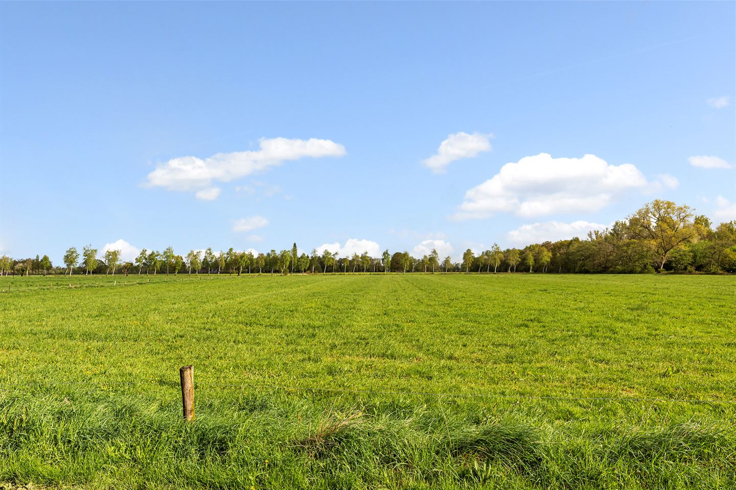 Bekijk foto 4 van Kanaweg