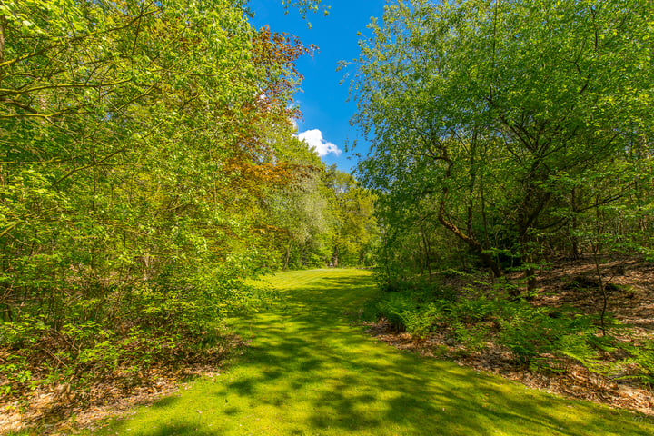 Bekijk foto 19 van Markeweg 12