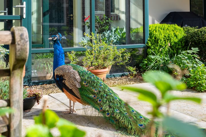 Foto 70 van Wikkerinkweg 8