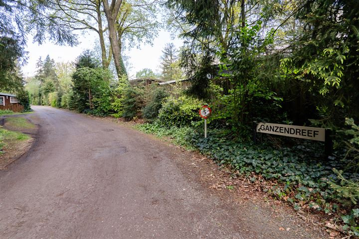 View photo 38 of Zevenbergjesweg 27-G4