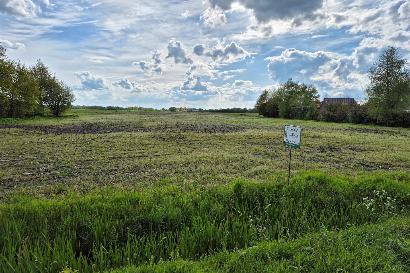 Bekijk foto 3 van Schoonveldersteeg/Drogterweg