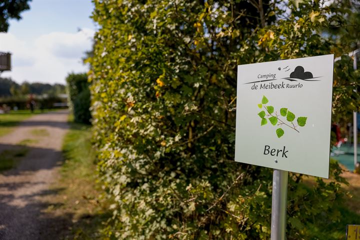 Bekijk foto 36 van Chalets - Camping de Meibeek