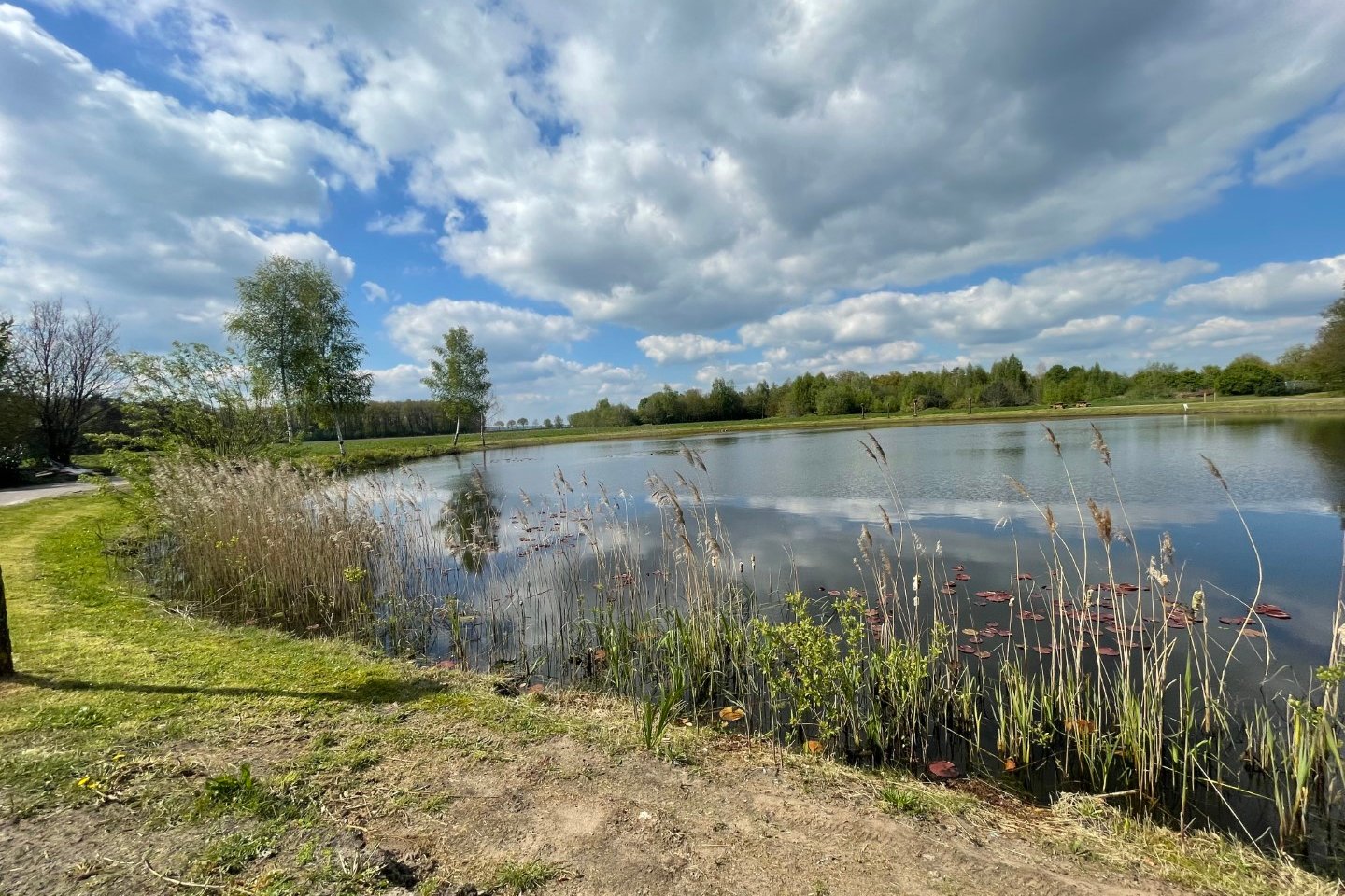 Bekijk foto 1 van Elfde Wijk 42