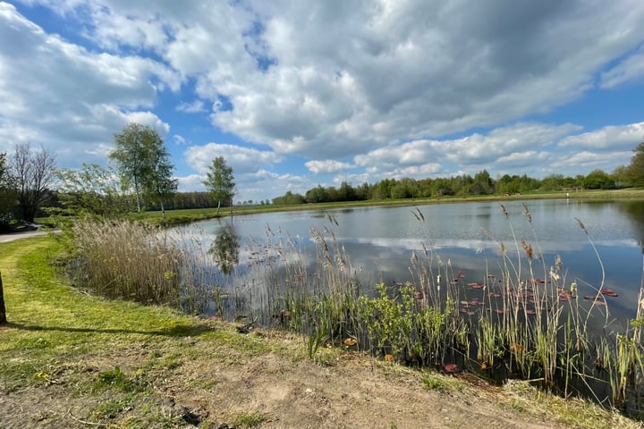 Elfde Wijk 42, Rheezerveen