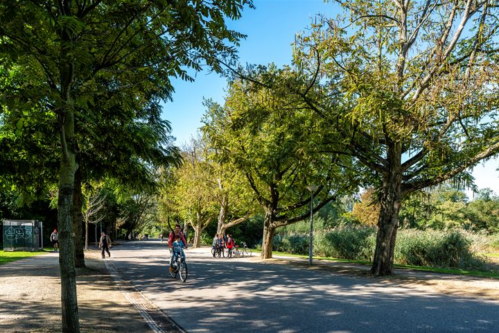 Bekijk foto 42 van Hendrik Jacobszstraat 5-3