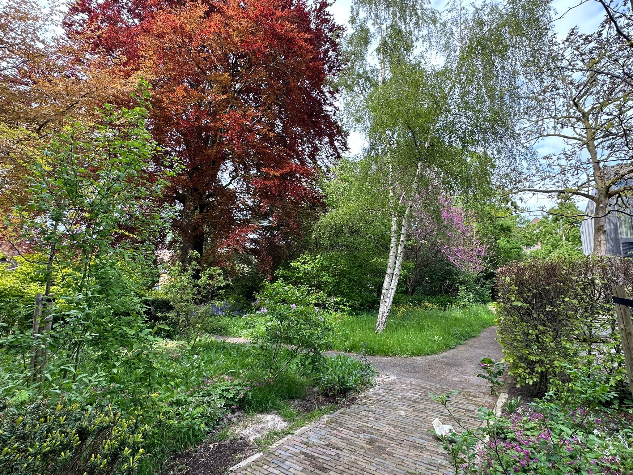 Foto 60 van Groenmarkt 37