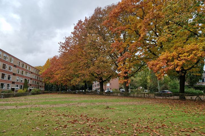 Bekijk foto 21 van Oude Molenweg 283