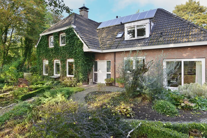 undefined main image