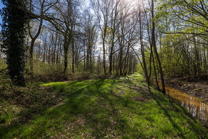 Bekijk foto 48 van Warfveendijk 20