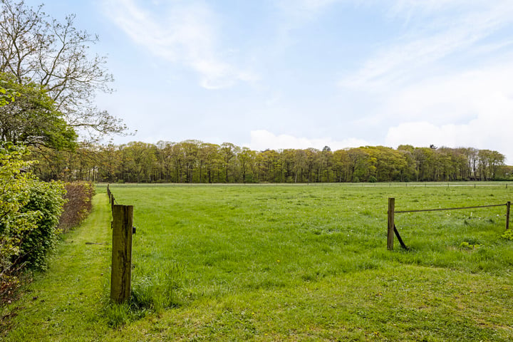 Bekijk foto 60 van Molendijk 10