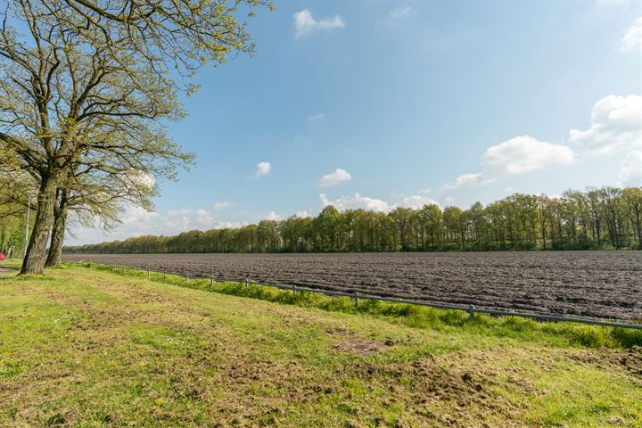 Bekijk foto 47 van De Markgraven 66