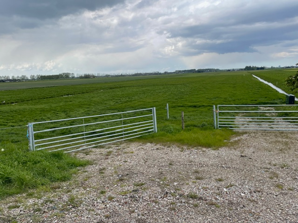 View photo 5 of Meerpolder 31